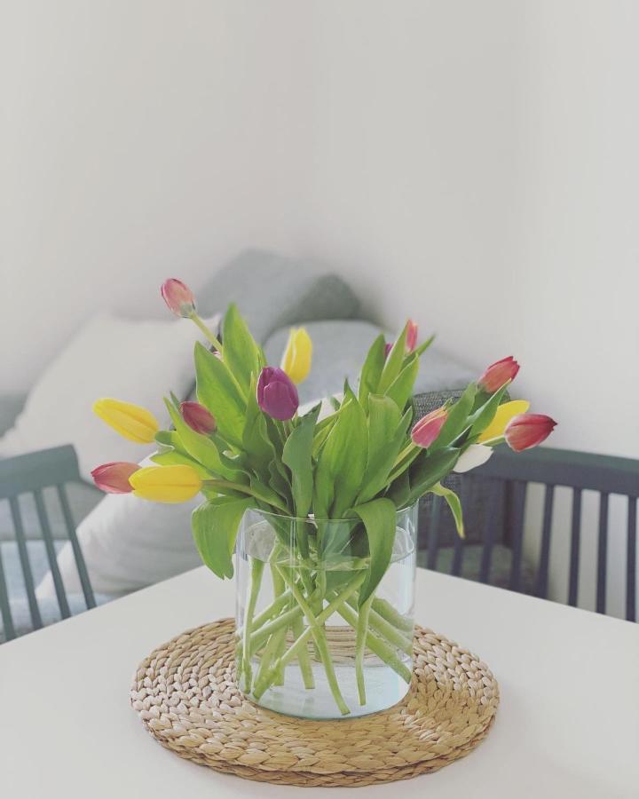 Cioccis Boutique Apartment Roma Dış mekan fotoğraf